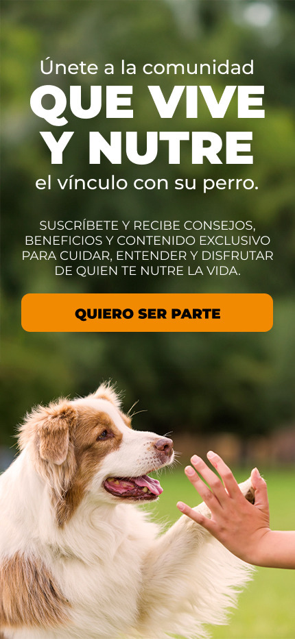 BNP - NUTRISS COMUNIDAD 2026